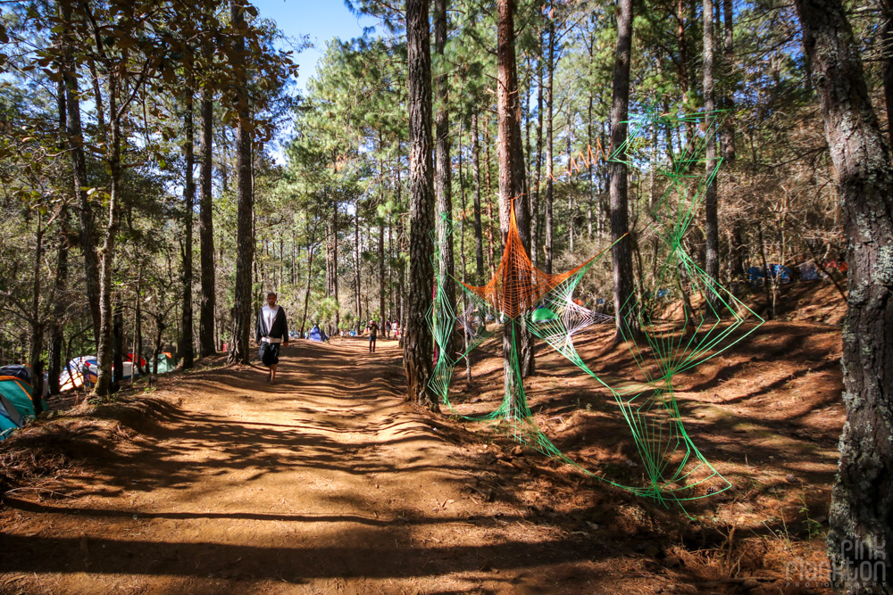 forest and string art at Festival Psycristrance