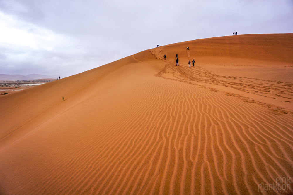 hiking up san dune in Sossusvlei, Namibia