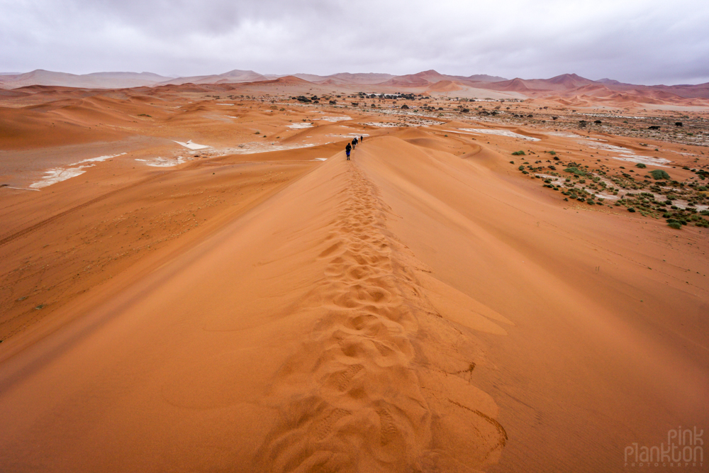 hiking up san dune in Sossusvlei, Namibia