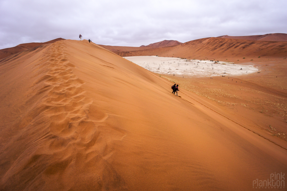 view of Deadvlei in Sossusvlei from atop the giant sand dune