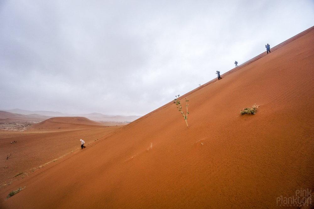 running down giant sand dunes on a cloudy day in Sossusvlei, Namibia