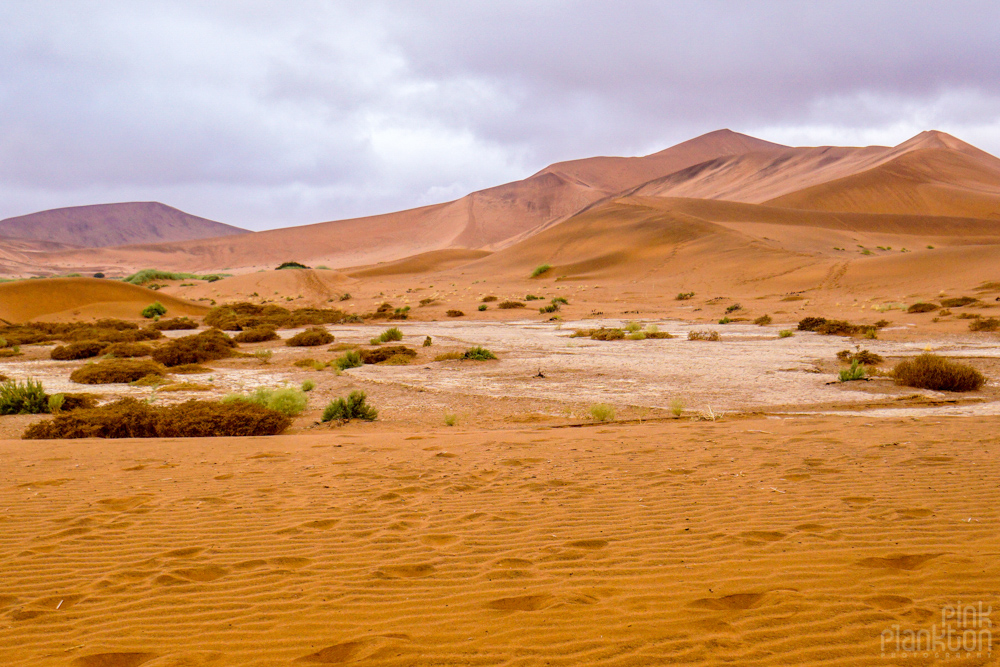 view of the sand dunes in Sossusvlei, Namibia
