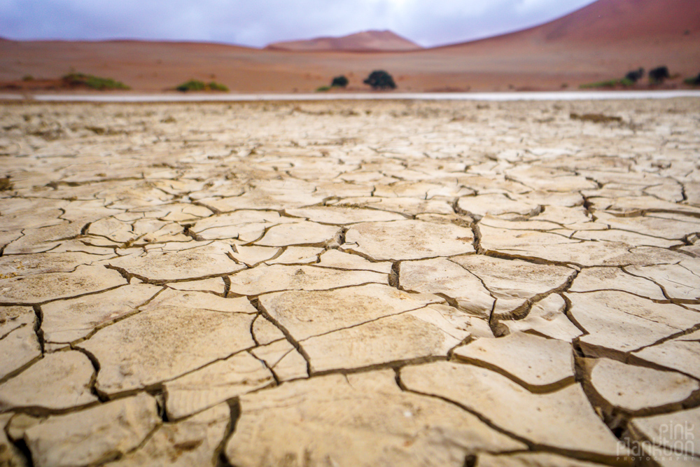 closeup of dried up water bed in Sossusvlei, Namibia
