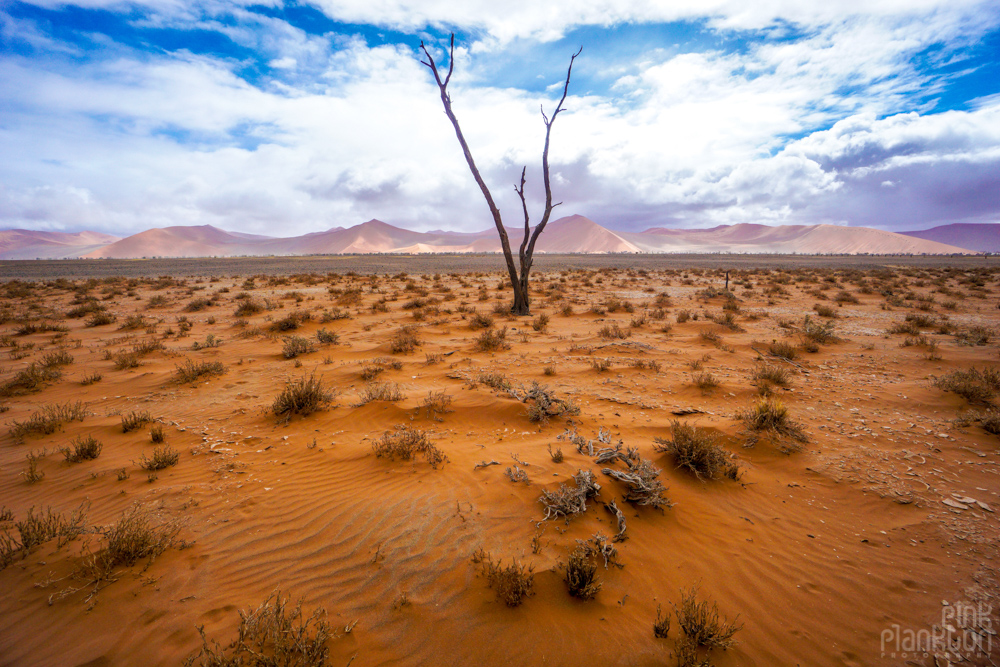 View of the dunes and desert in Sossusvlei, Namibia