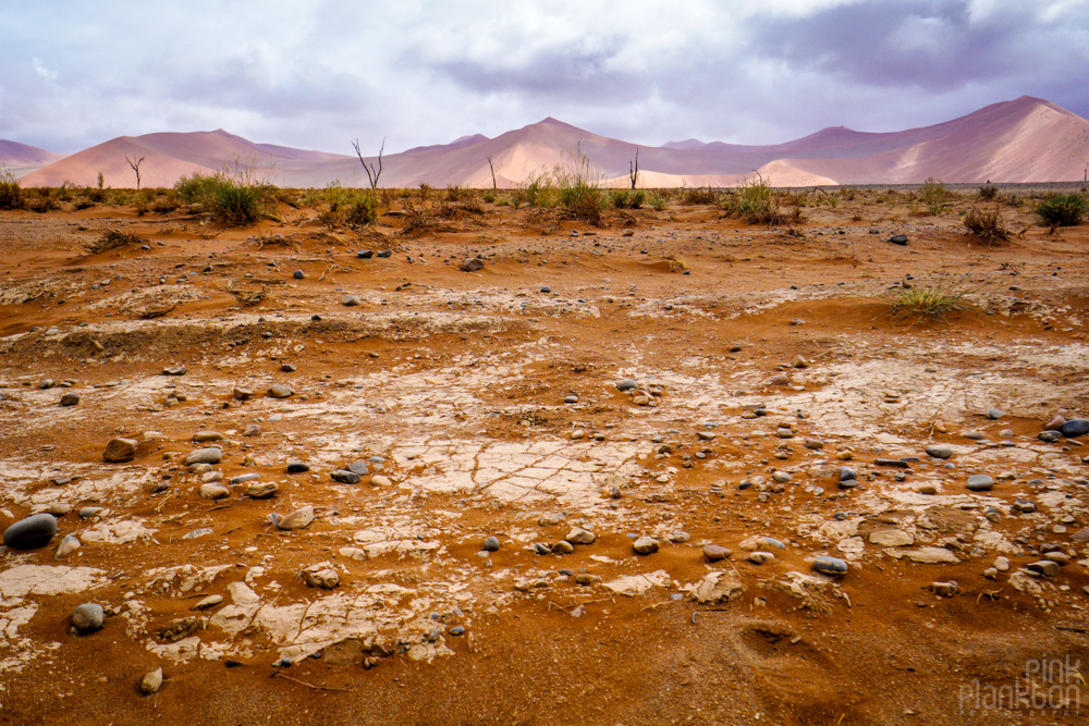 View of the dunes and desert in Sossusvlei, Namibia