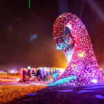 This Is What Afrikaburn, South Africa’s Version of Burning Man, Looks Like