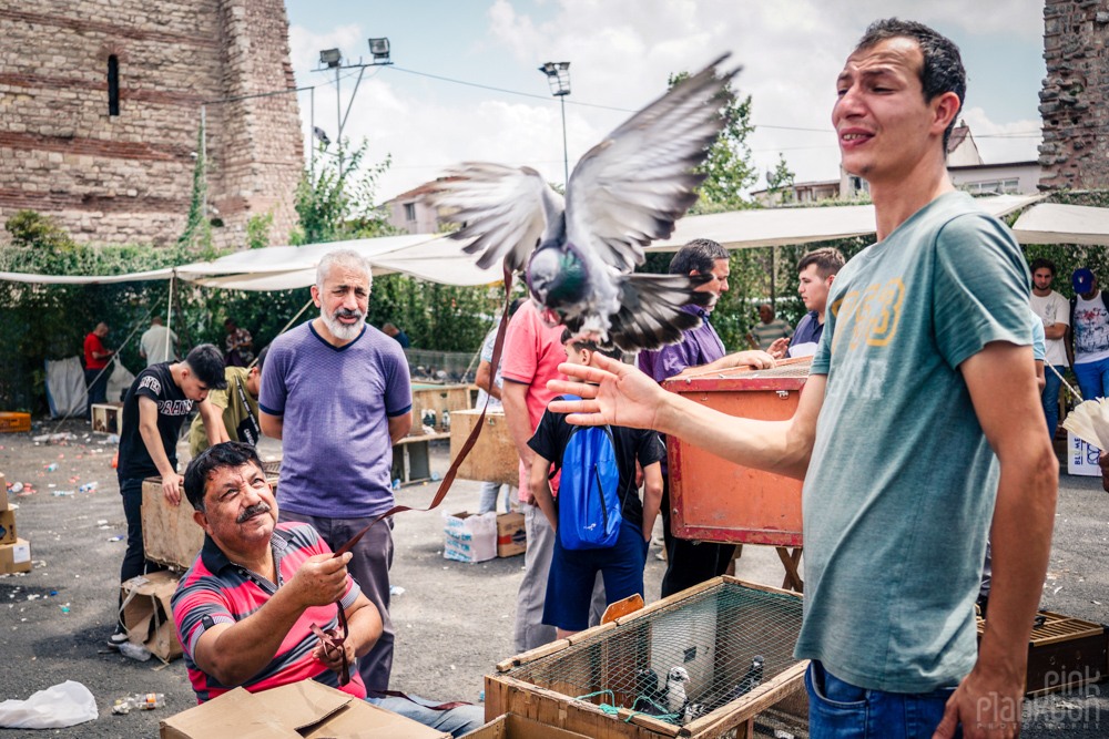 vendors with a flying pigeon on a leash at the Istanbul bird market