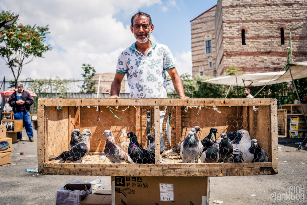 man selling pigeons at the Istanbul bird market
