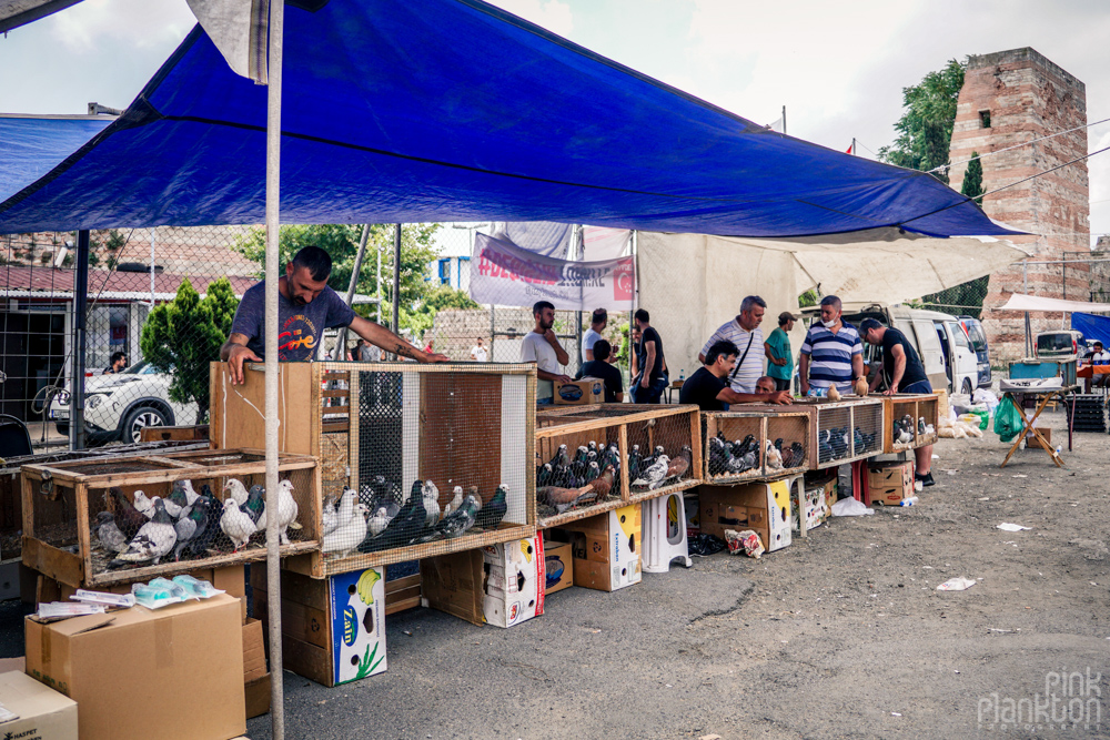 vendors of pigeons at the Istanbul bird market