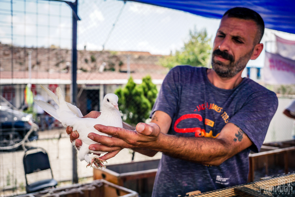 man holding up his white pigeon at the Istanbul bird market