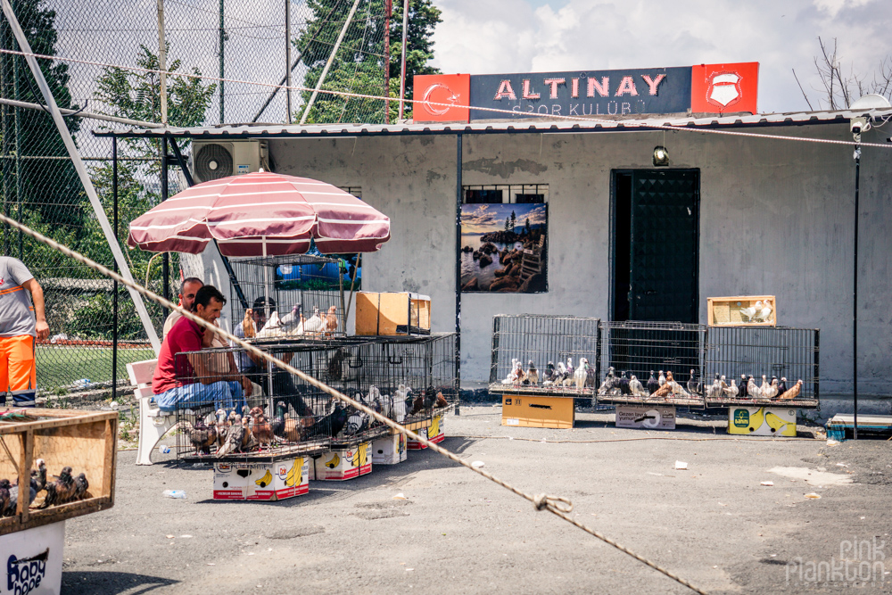 vendors of pigeons at the Istanbul bird market