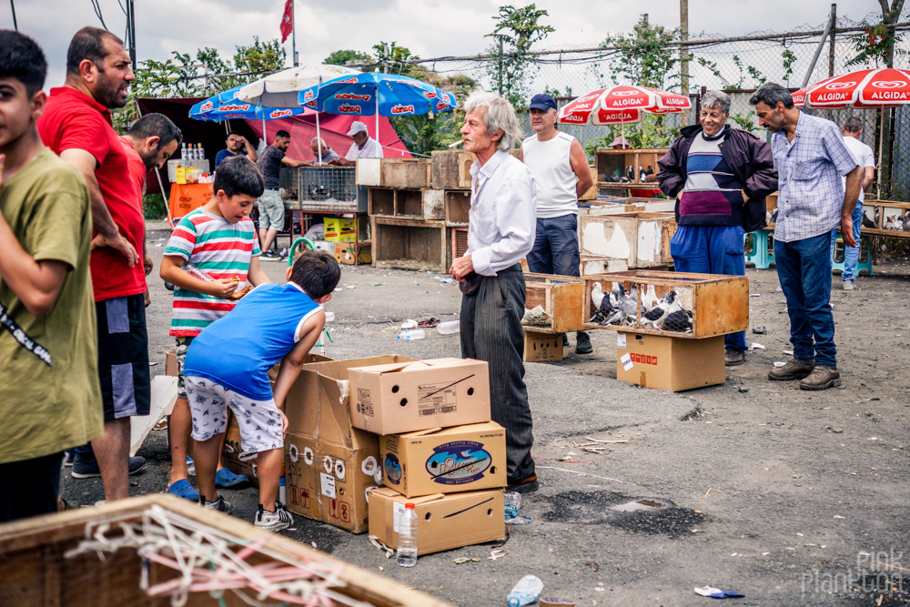 vendors of pigeons at the Istanbul bird market