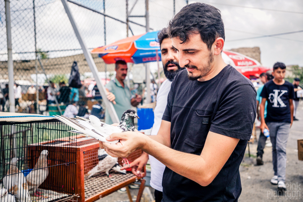 man holding pigeon at the Istanbul bird market