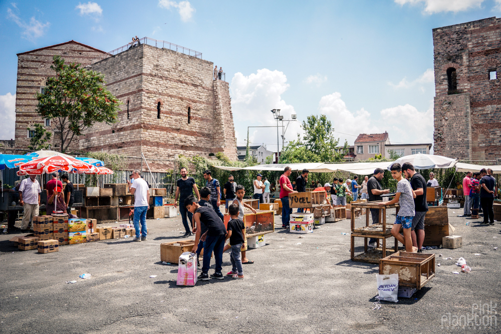 vendors at the Istanbul bird market