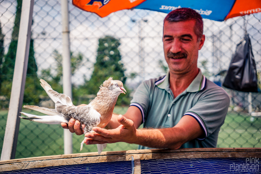 man showing off his pigeon at the Istanbul bird market