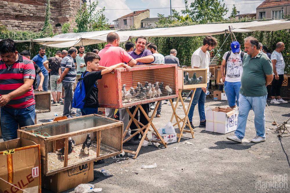 vendors and buyers at the Istanbul bird market