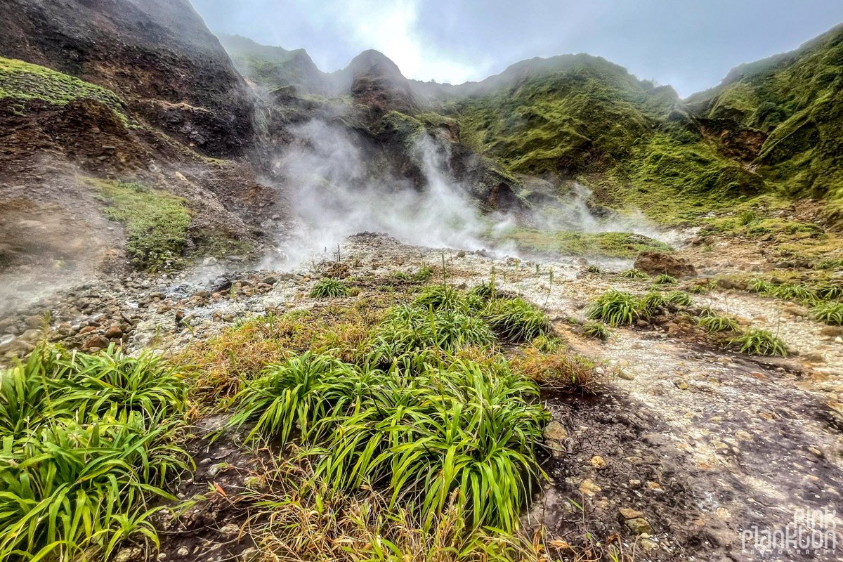 Mountain scenery and steam along the Boiling Lake Hike in Dominica