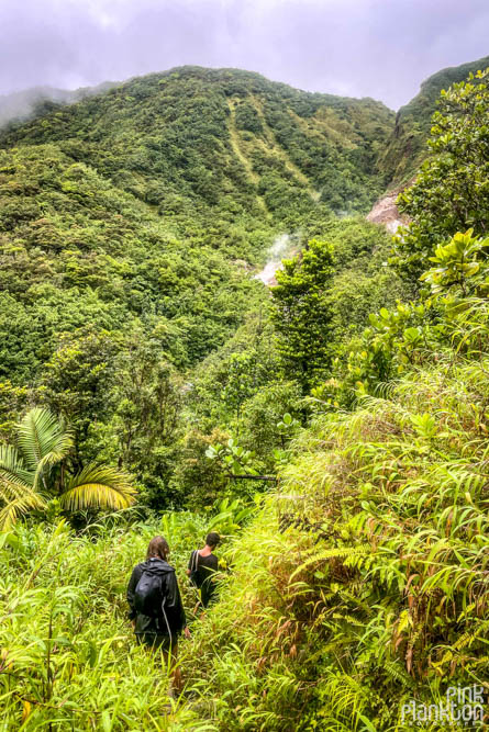 two hikers along the Boiling Lake Hike in Dominica