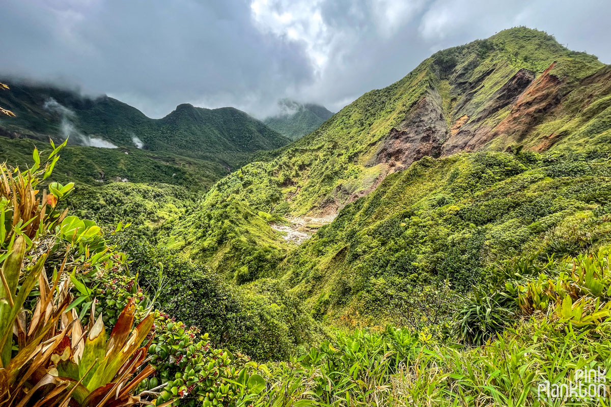 Mountain scenery along the Boiling Lake Hike in Dominica