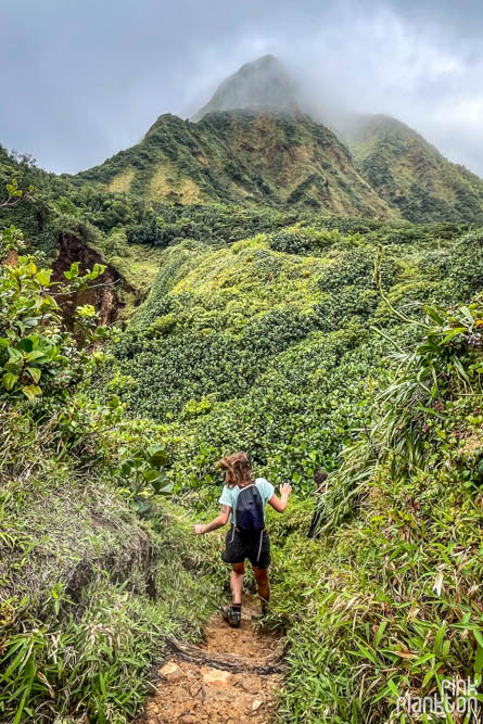 Hiker with mountain scenery along the Boiling Lake Hike in Dominica