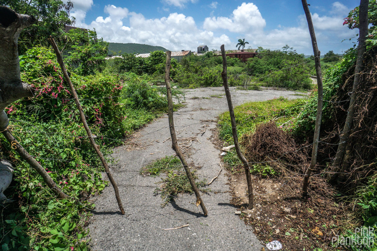 entrance to abandoned sugar mill in Guanica Puerto Rico
