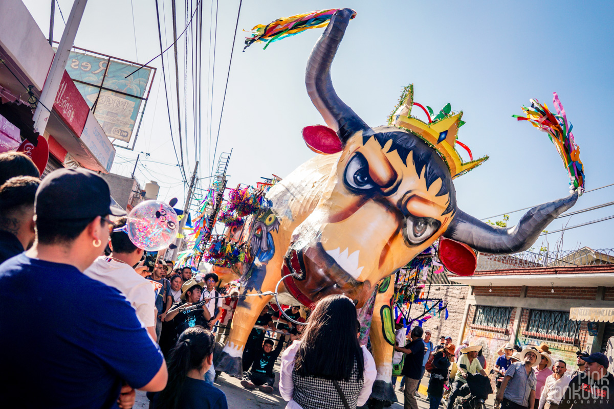 Giant bull parading down the street in the daytime at the Bulls of FIre Festival in Mexico