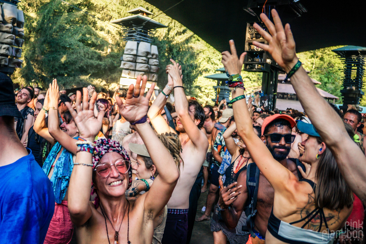 Crowd dancing with hands up at Modem Festival Swamp Stage