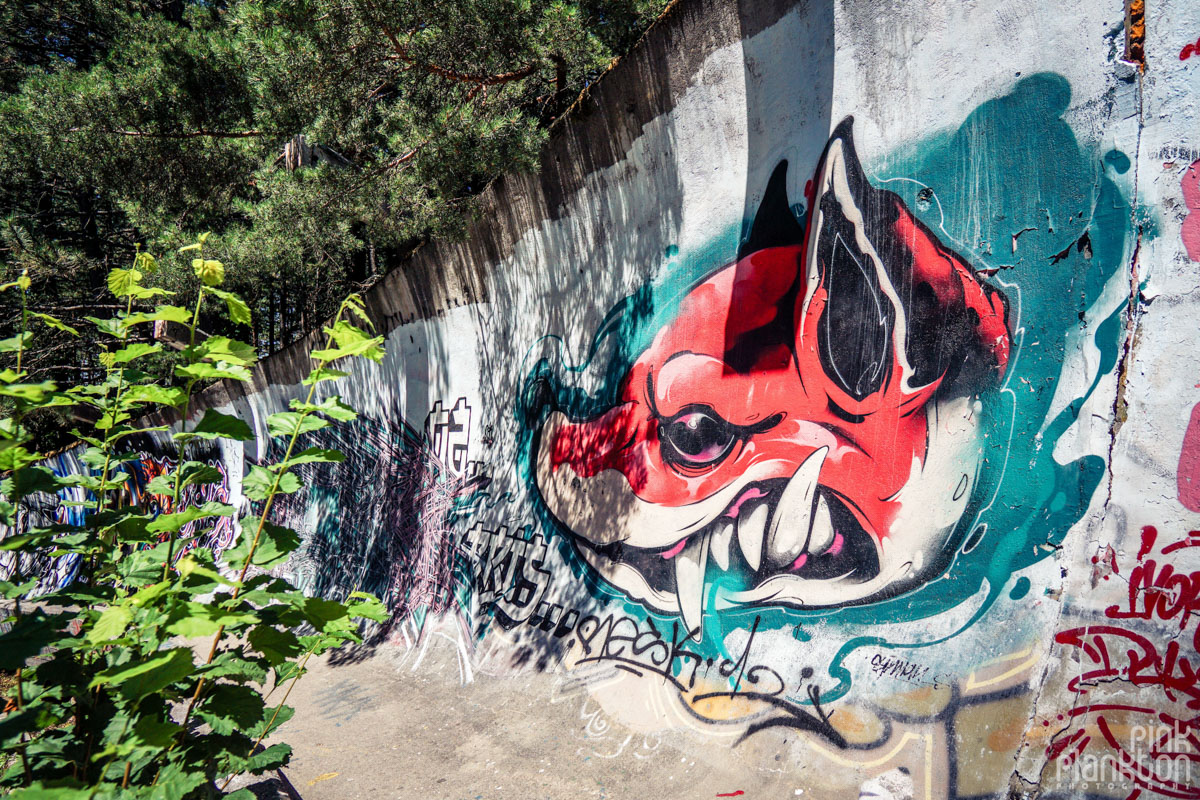 Pit bull mural on abandoned bobsled track in Sarajevo