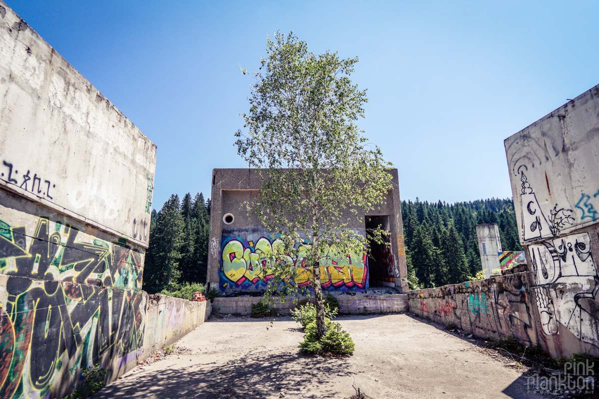 Street art and tree on oof of abandoned Hotel Igman in Sarajevo