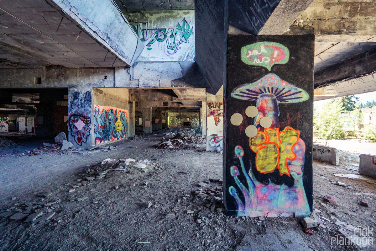 Mushroom street art in abandoned Hotel Igman in Sarajevo